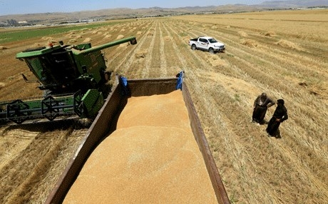 بەشیر حەداد داوای خەرجکردنی پارەی گەنمی ساڵانی رابردوو دەکات